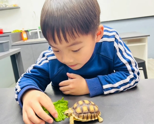 孩子與寵物互動