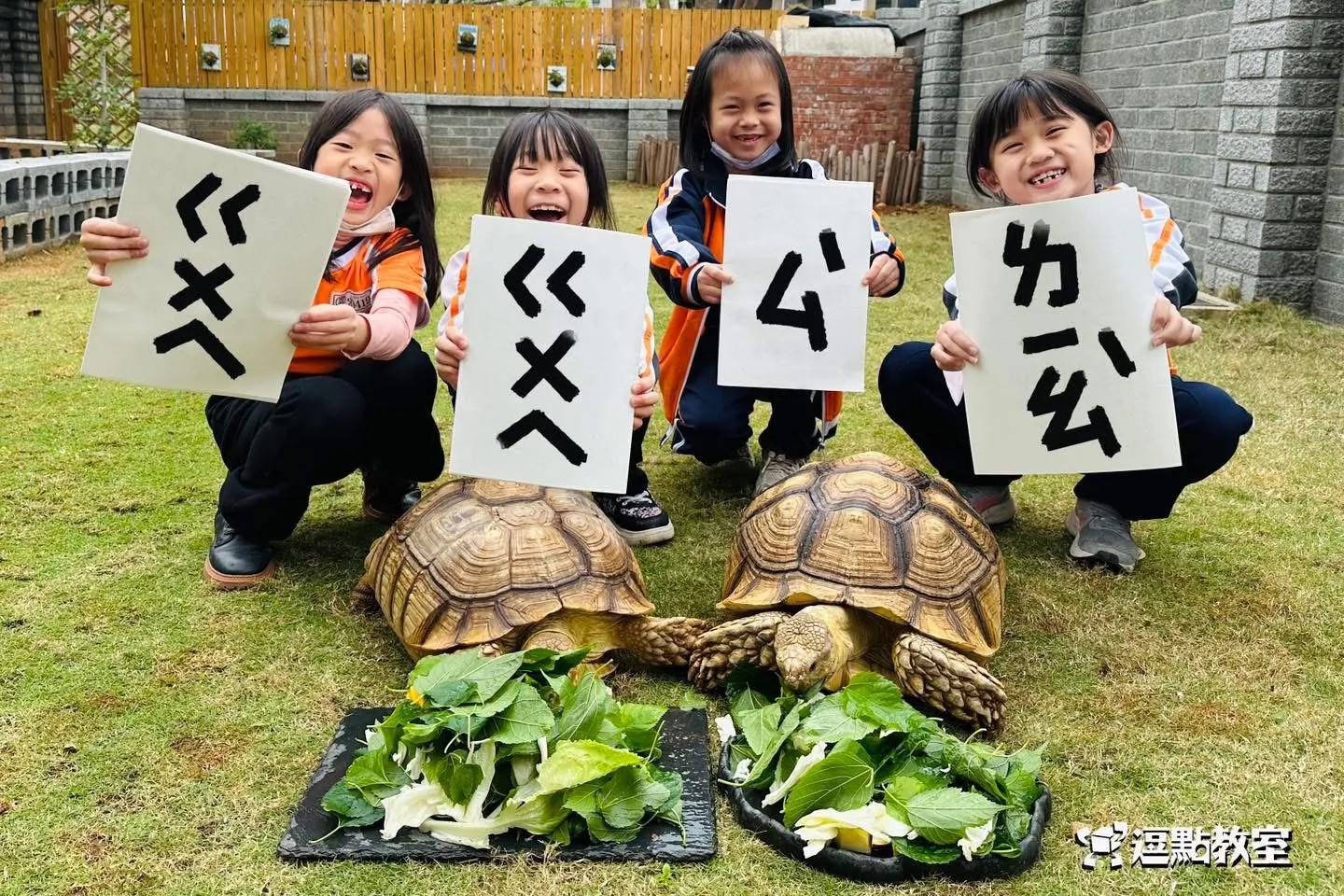 %E9%BE%9C%E9%BE%9C%E9%A3%BC%E6%96%99%E5%8B%9F%E9%9B%86%E4%B8%AD