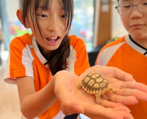 %E5%B0%8F%E5%B0%8F%E9%BE%9C%E5%87%BA%E7%94%9F