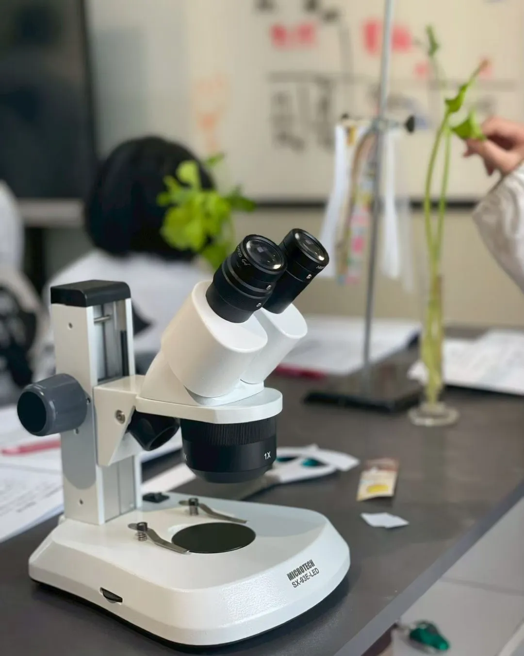 %E9%A1%AF%E5%BE%AE%E9%8F%A1