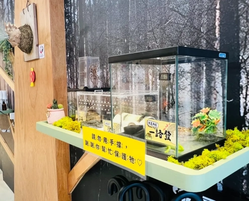 森耀校可愛寵物