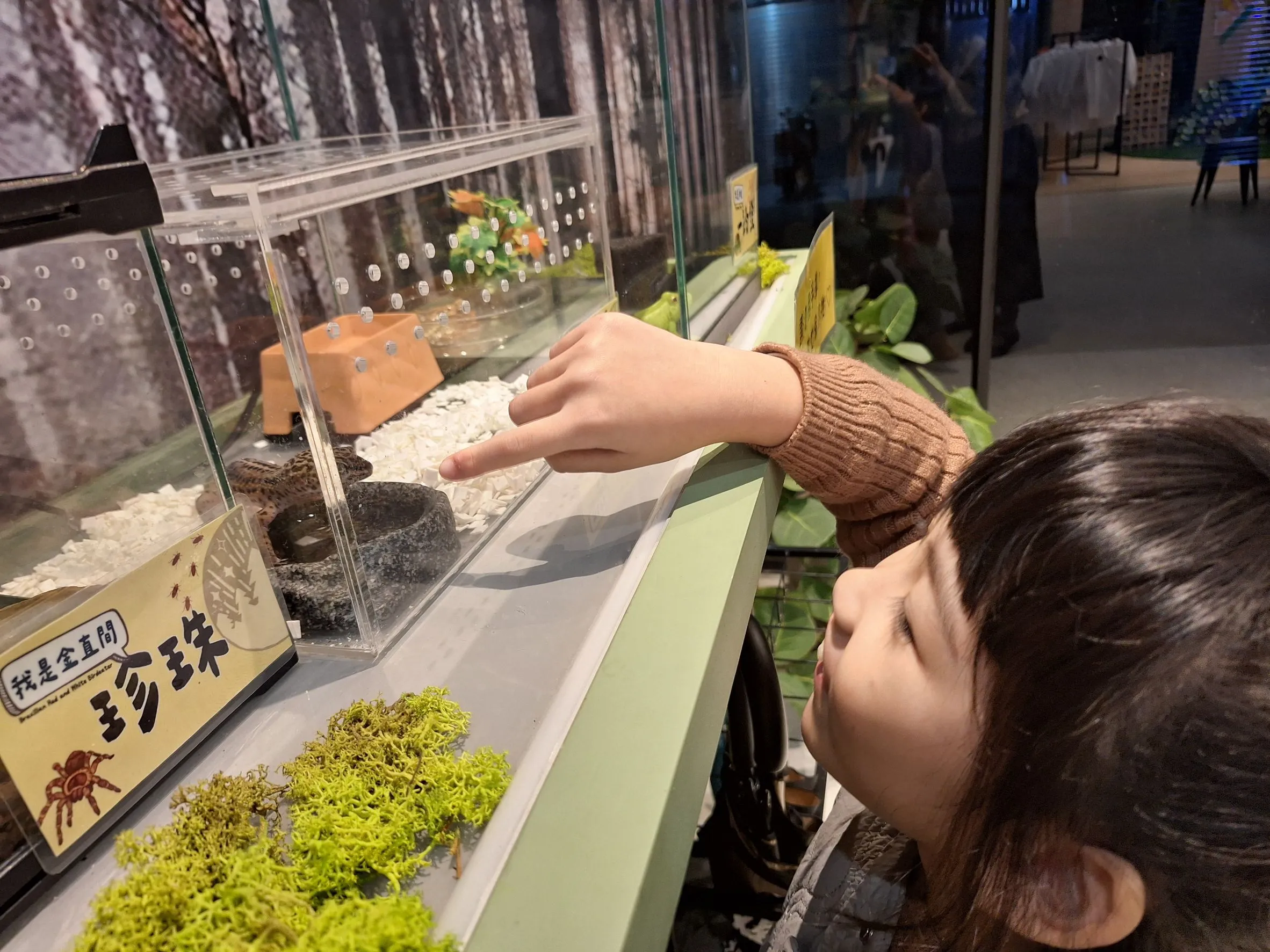 %E5%AD%A9%E5%AD%90%E8%88%87%E5%AF%B5%E7%89%A92