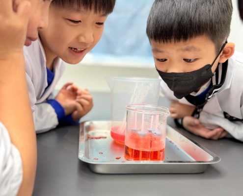 科學實驗課5 科學實驗課5