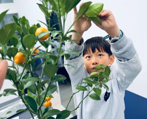 科學實驗課 科學實驗課